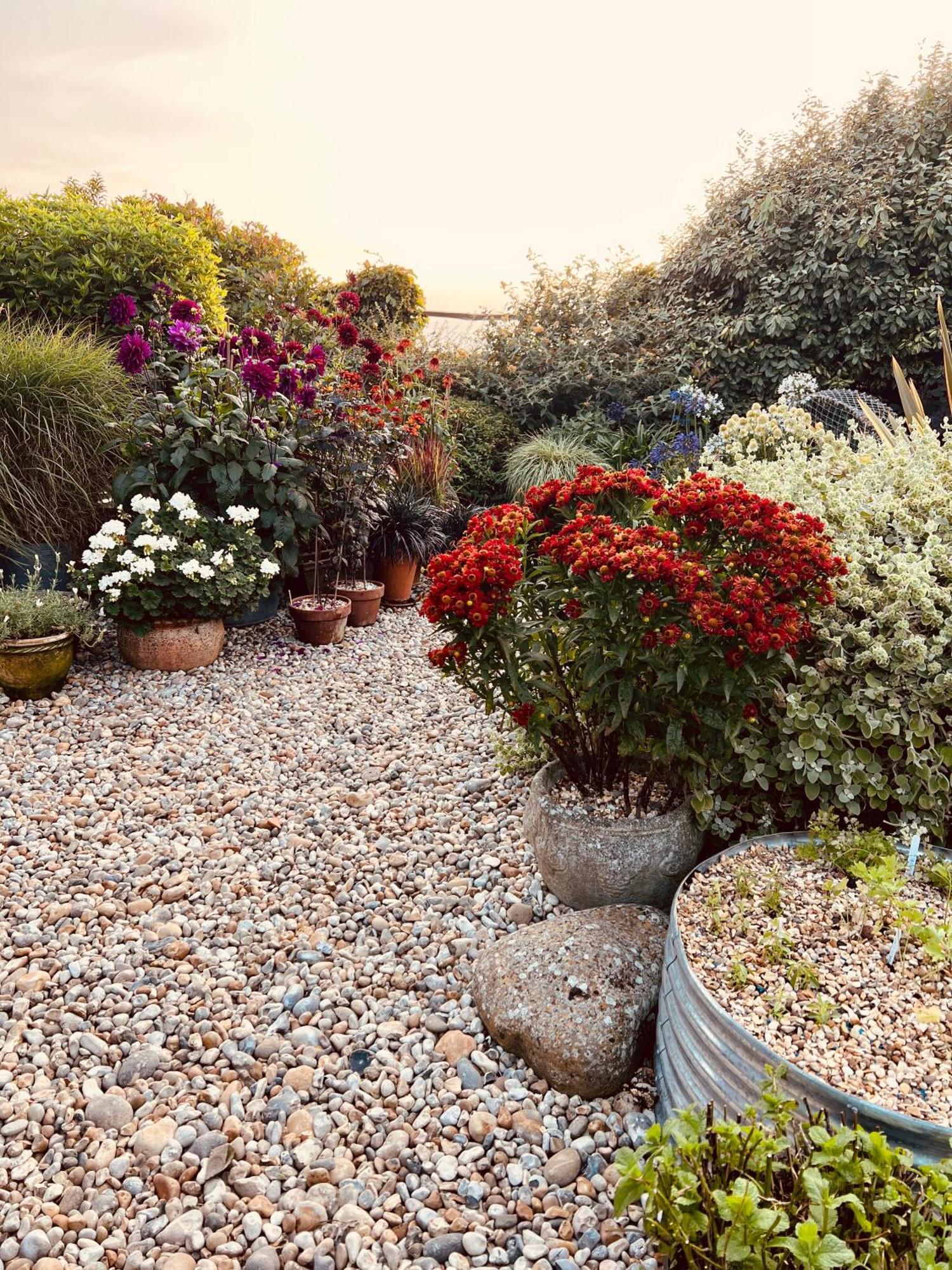 Bed and Breakfast Pluto House Dungeness Exterior foto